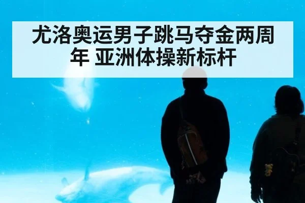 尤洛奥运男子跳马夺金两周年 亚洲体操新标杆